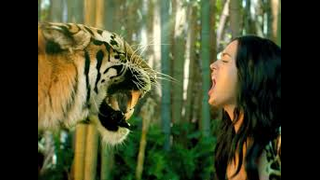 Physics of Sound Project