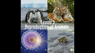 Life Science Lesson 3 - Animal Reproduction
