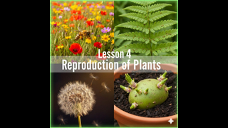 Life Science Lesson 4 - Plant Reproduction