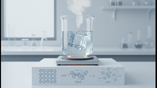 Liquids and Solids: Intermolecular Forces, Properties, and Phase Behavior