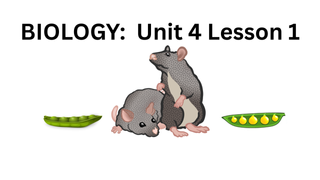 Biology Unit 4 Lesson 1: Mendel, Griffith, and Avery